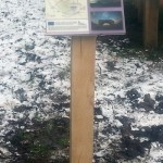 Small Timber Lectern with Multiguard® interpretive panel for Dark Skies project