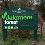 Timber Signage - Forestry Commission - Delamere forest