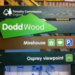 Timber signage for the Forestry Commission